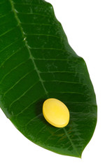 Kann Viagra zusammen mit Losartan eingenommen werden?